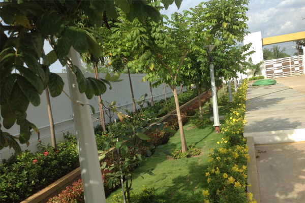 chennai swimming pool maintenance, chennai gardening, chennai landscape architects, landscape in chennai, landscaping in chennai,
